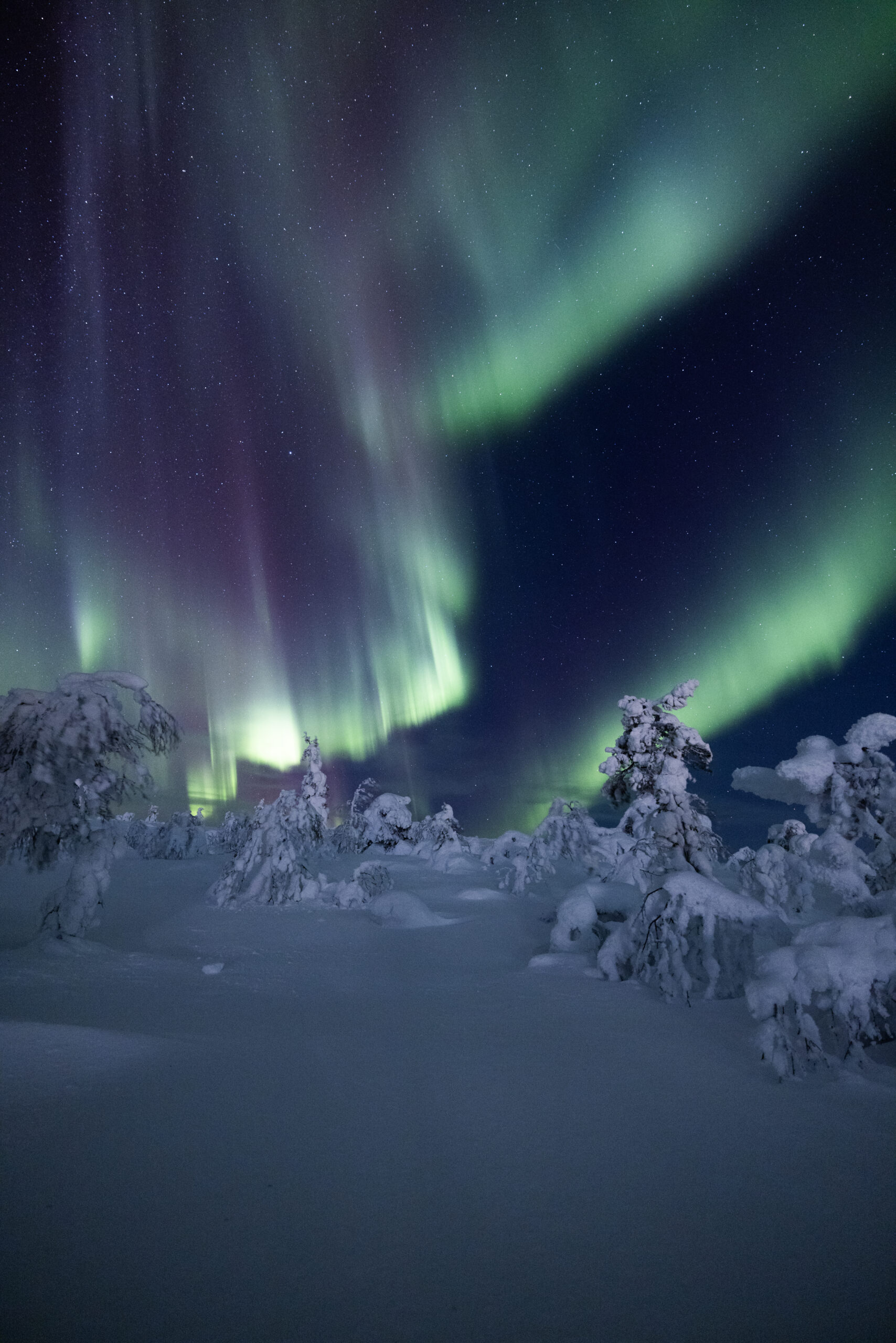 LeviTour offers Aurora hunting.