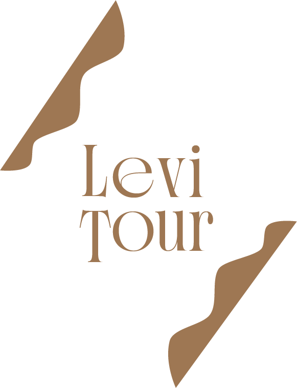 LeviTour logo